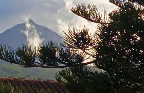 Azores Youth Hostels - Pico São Roque do Pico エクステリア 写真